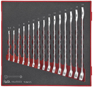 15 deler kombinasjonsnøkkelsett Teng Tools TED6515