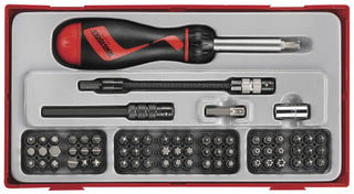 74 deler Bitsskralleskrutrekkersett Teng Tools TTMD74